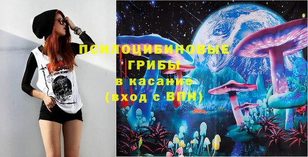 PSILOCYBIN Беломорск