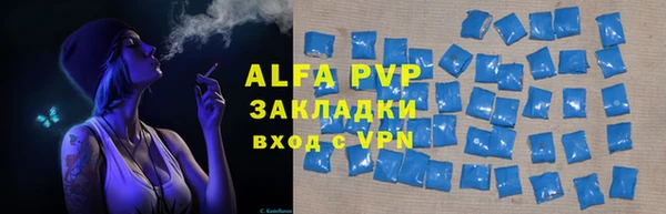 PSILOCYBIN Беломорск